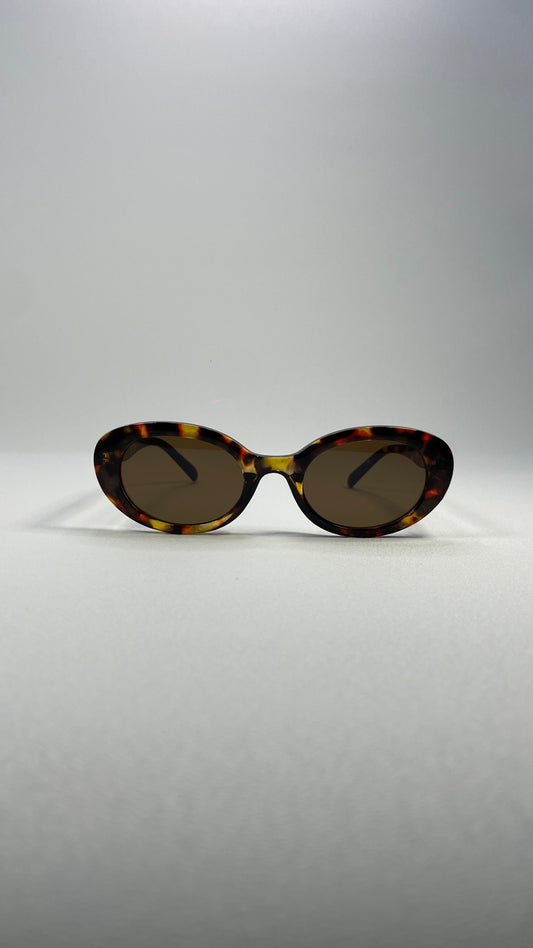 Moonflare brown tartarooga
