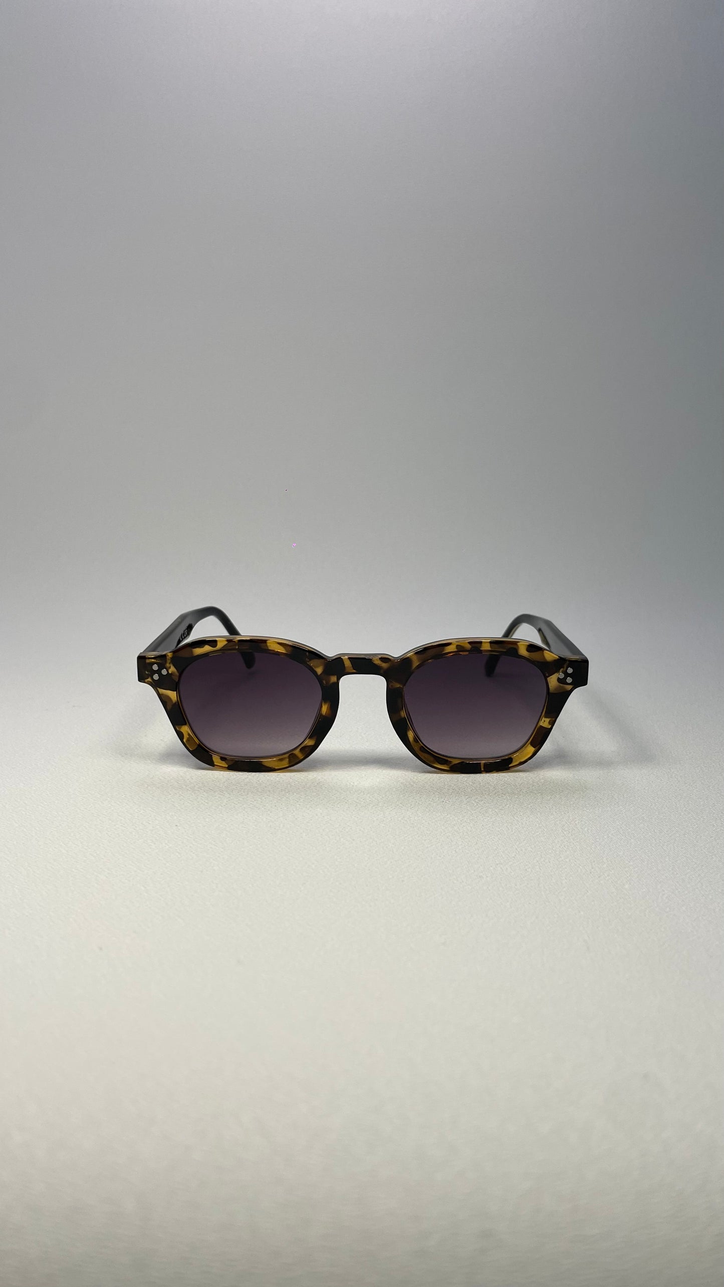 Mirella brown tartarooga