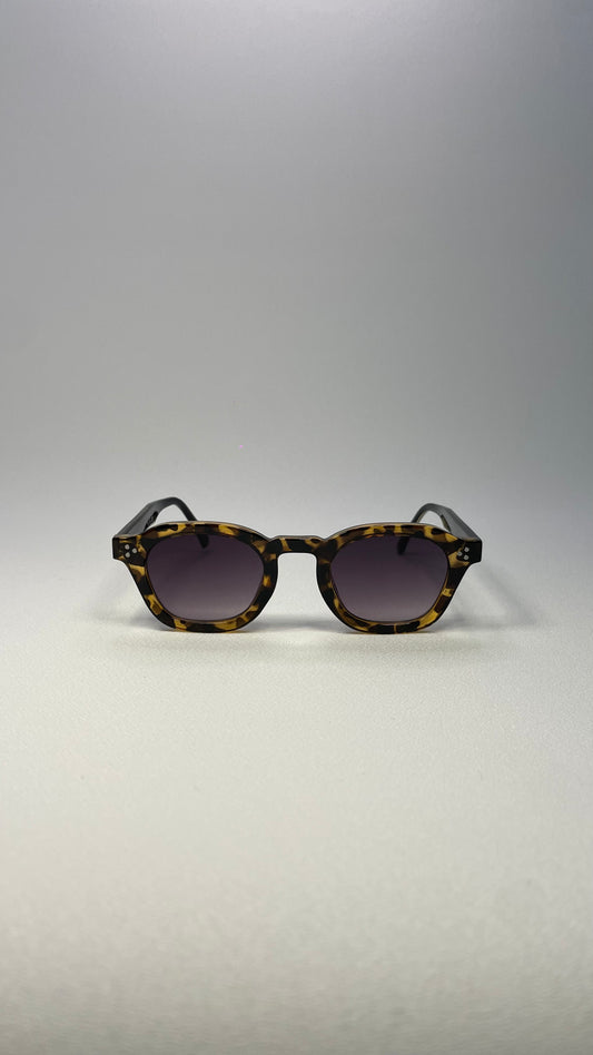 Mirella brown tartarooga